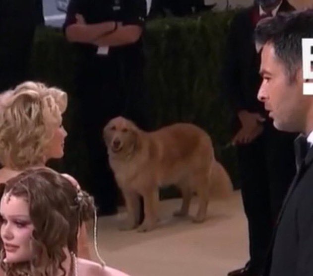 chqmbiez's tweet photo. easily best dressed #MetGala2021 https://t.co/ppUFnR4A60