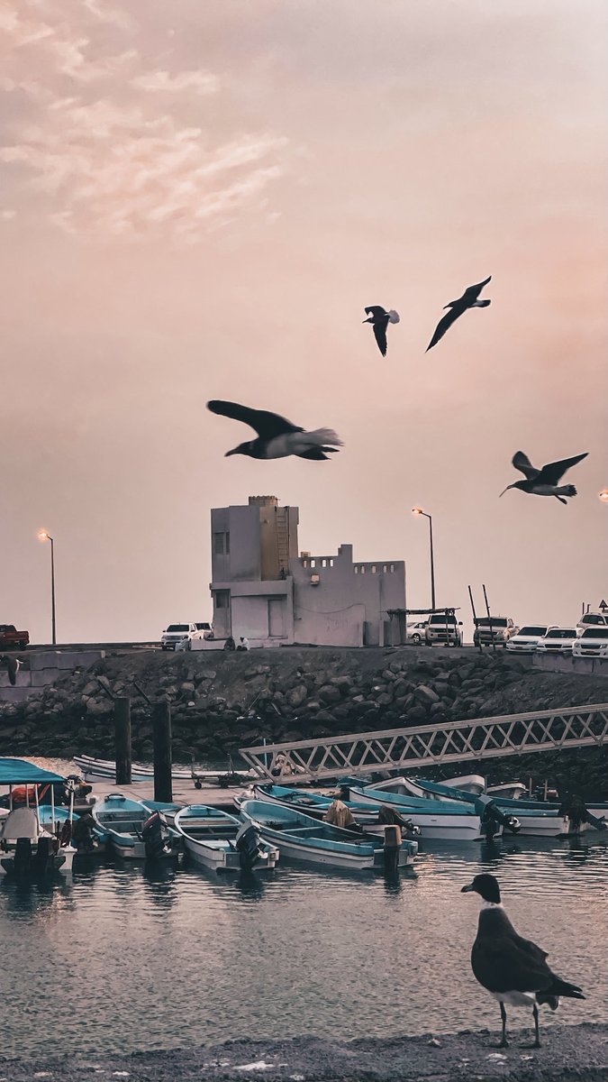 #أصبحنا وأصبح الملك لله الواحد القهار  اللهم #جنة عرضها السموات والأرض.

#صباح_الخير 💗✨