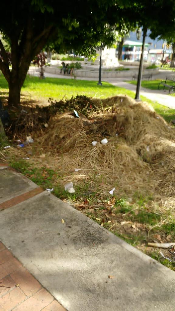 fpulido7's tweet photo. @jorgevillet @GFdeVenezuela @fotourbanaorg @Vzla_Inmortal @lloaizar @arquimidesfajar @fronteraenlaweb @CarlosE_Ramos Increíble? Que la comunidad del sector de la Plaza Grorias patrias que estaba un total descuida la comunidad tuvo que pagar para la limpieza y ahora no hay quien recoja las maleza que se está convirtiendo en basuras y en dónde está la Alcaldía    del municipio libertador https://t.co/hXjyjVVx7X