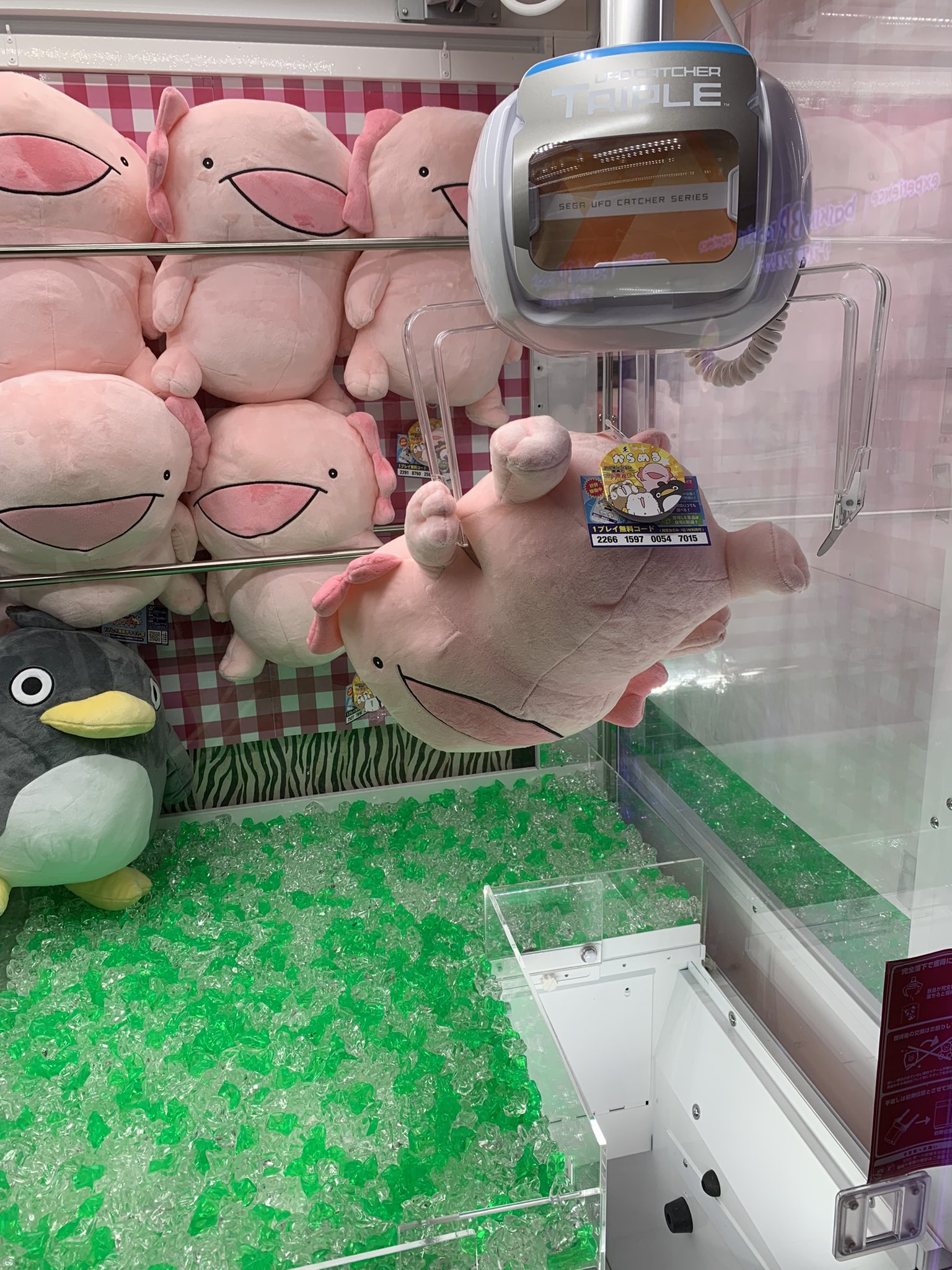 Otera ペンギンさん 落としたけどハマる ウーパールーパー 取った と思ったら引っかかる さすがだと思われるww Twitter
