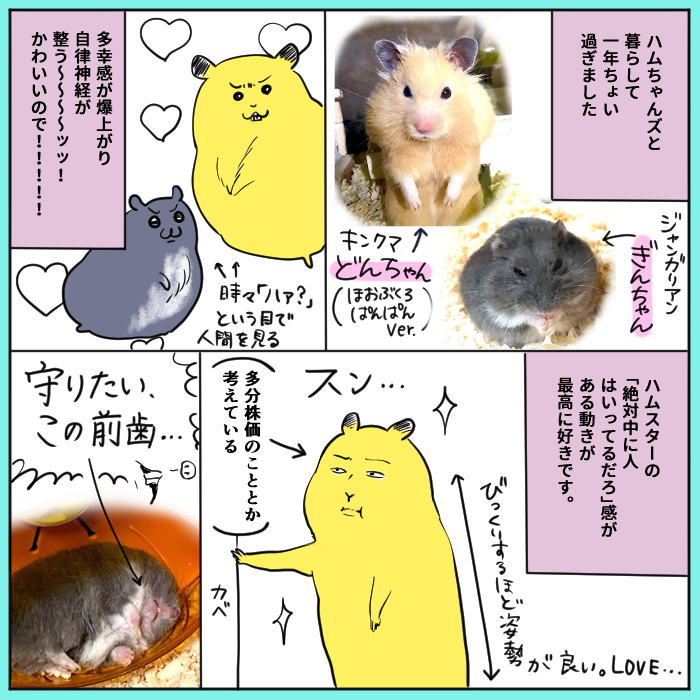 ハムちゃんズと暮らして一年ちょい過ぎました 愛… 