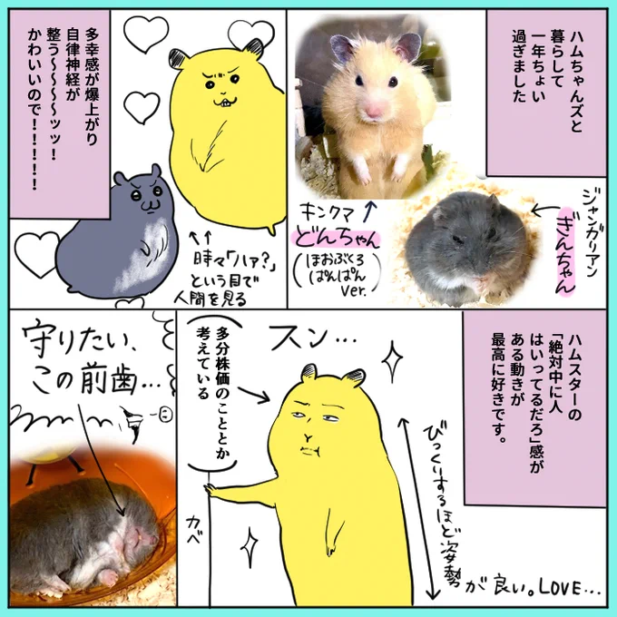 ハムちゃんズと暮らして一年ちょい過ぎました 愛… 