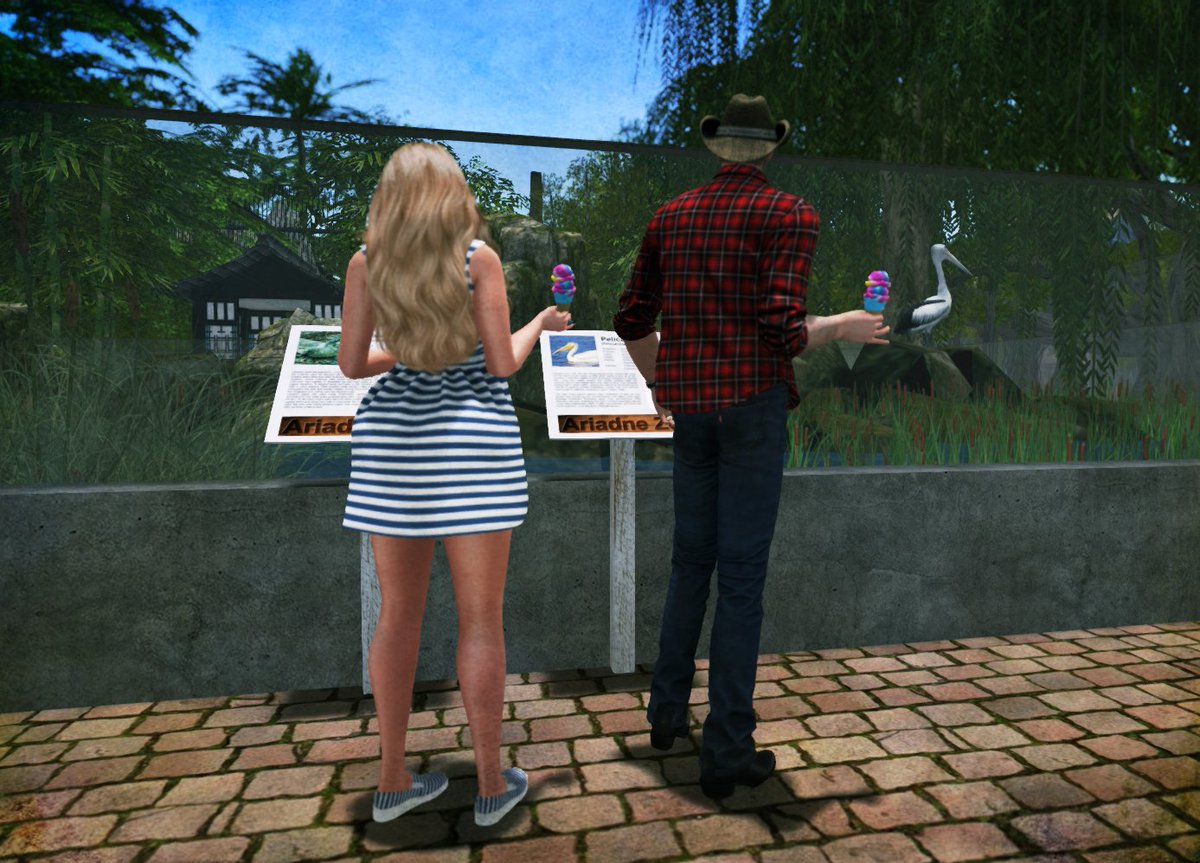 LukeCollinsCD's tweet image. Get her out walking they said. So I took her to the Zoo. @TessaLynnJones