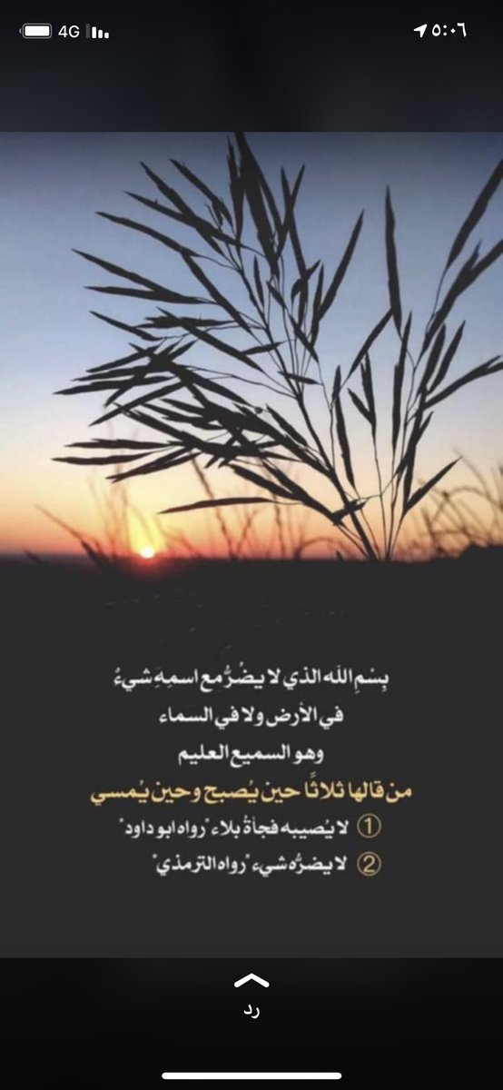 محمد بن مضحي الحافي (@gxtdycamtudz781) on Twitter photo 