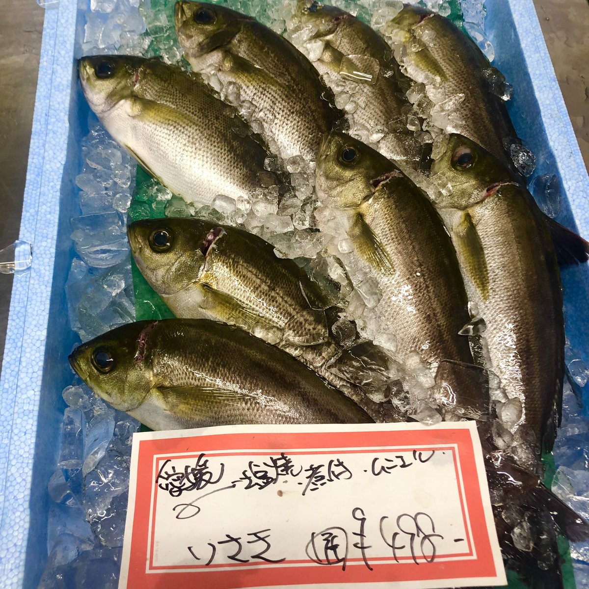 うおまさ 宝塚 魚問屋 Uomasa Sakana Twitter うおまさ 宝塚 魚問屋 Uomasa Sakana Twitter