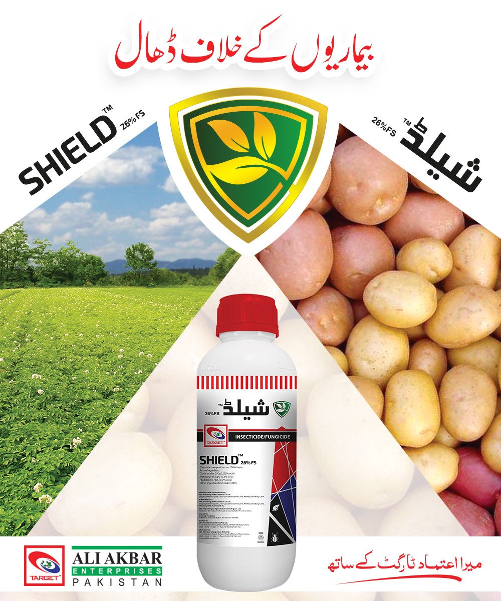 Ali Akbar Group tweet media