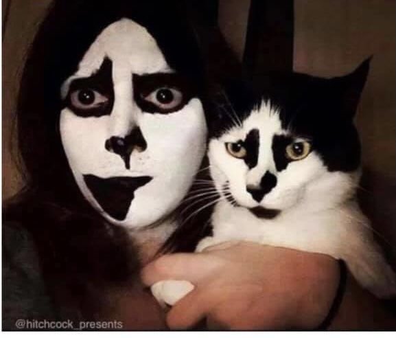 Abba_Annabelle's tweet image. I got vaccinated and now I look like my cat. Coincidence?