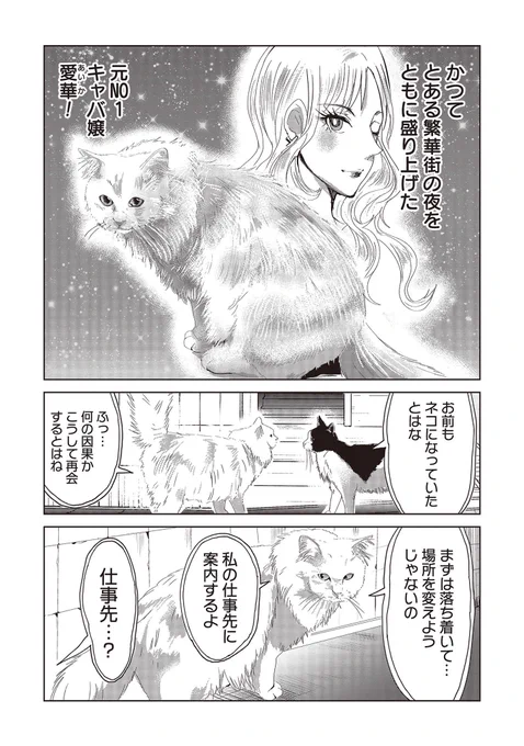 NO1キャバ嬢とNO1ホスト、ネコに転生する① 