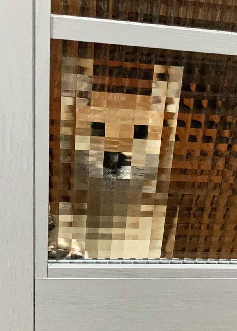 Is it just me or does this NFT make you feel like buying it.