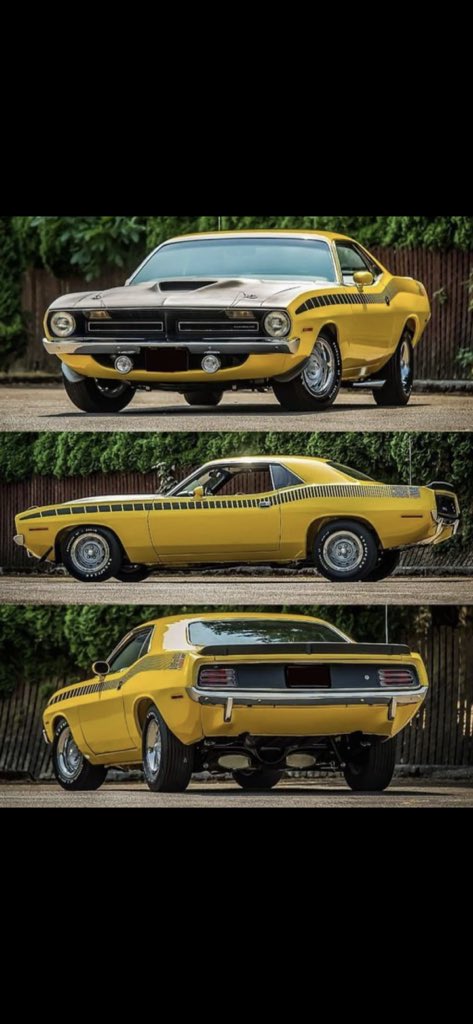 flatfendered's tweet image. 