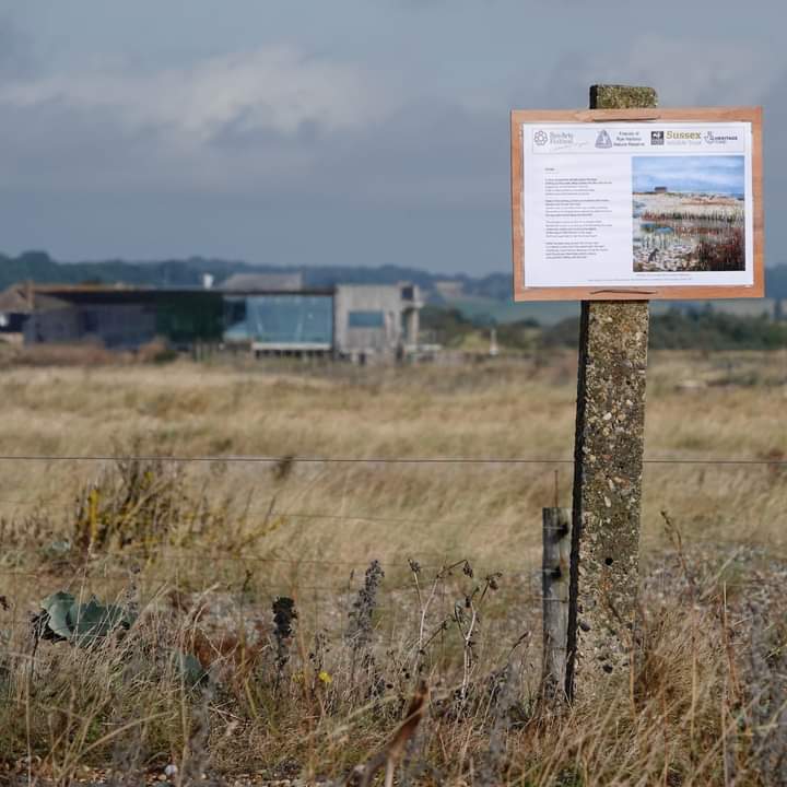 Come on our 2 mile, flat, dry (between the showers), circular walk, get some exercise, see some wildlife and find our poetry trail 

rye.sussexwildlifetrust.org.uk/blog/rye-harbo…

this poem is Shingle by Jane Lovell
part of #ryeartsfestival