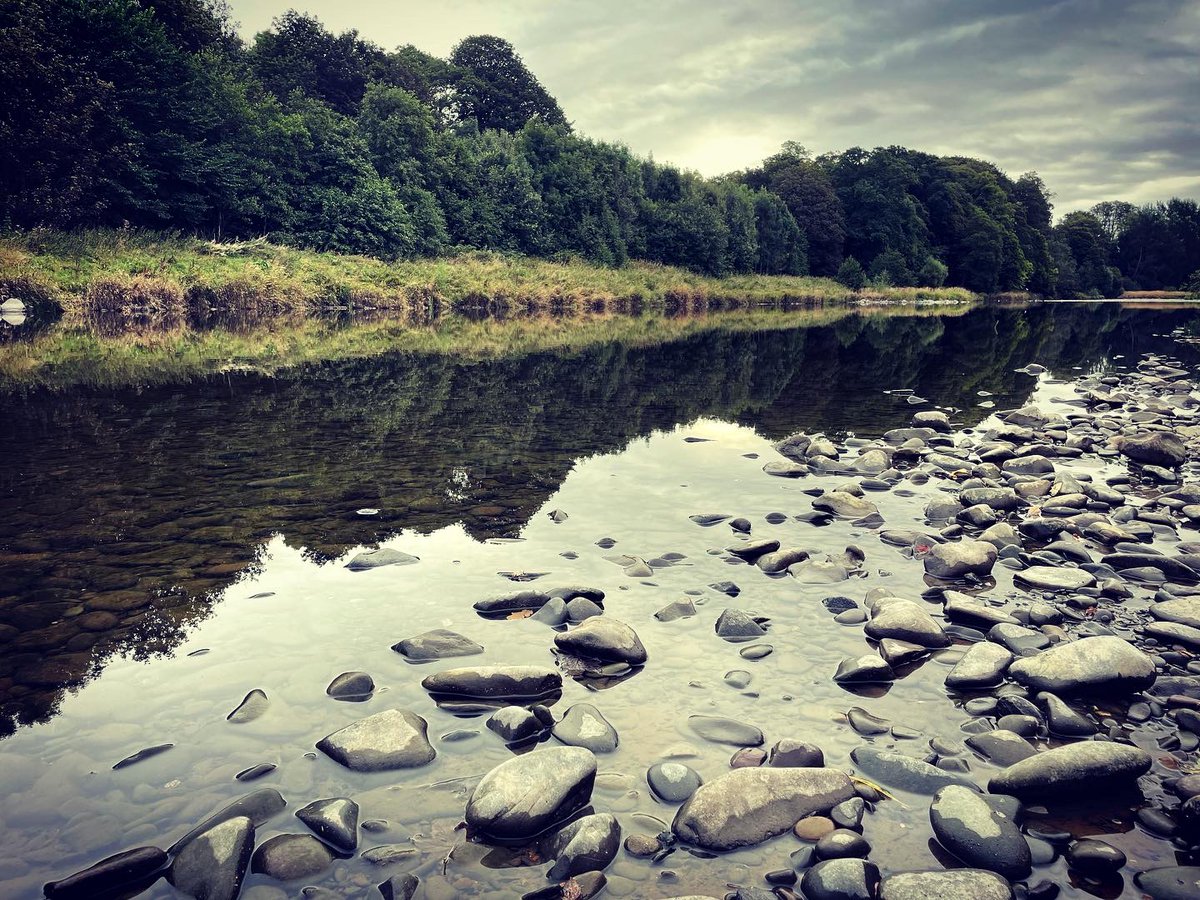 khursheb's tweet photo. the river cobbles #lovescottishborders #rivertweed https://t.co/QBEwVZNBqD