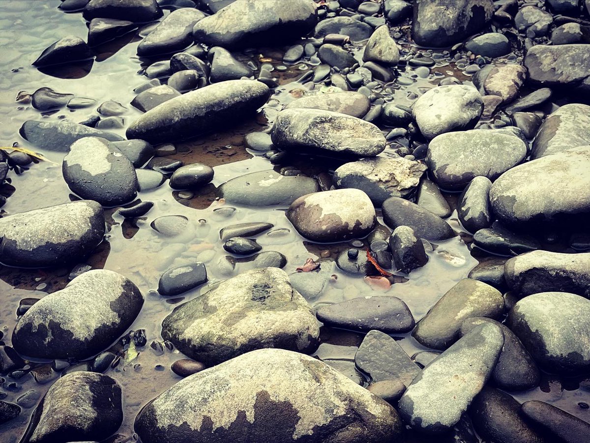 khursheb's tweet photo. the river cobbles #lovescottishborders #rivertweed https://t.co/QBEwVZNBqD