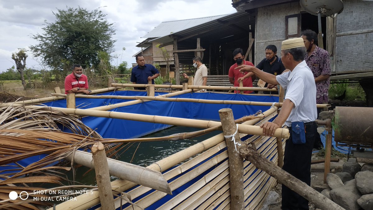 IkaMainar's tweet photo. Kunjungan Ke Pokdakan penerima bantuan Lele Kolam Terpal di Desa Berora, Kec Lopok, Kab Sumbawa-NTB, Jumat 10 sept 2021 binaan Luhkan Teguh Dwi Dharmawan, S.Pi https://t.co/zF7sXkwW0w