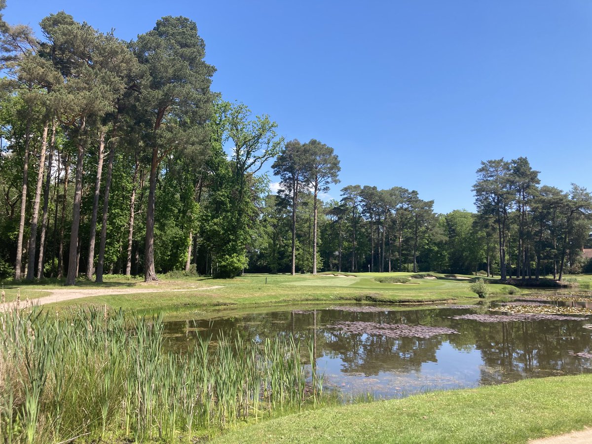 Aimi Bullock 💙💛💙💛 (@aimimsgolfer) on Twitter photo Big shout out to <a href="/AndyEwence/">andy ewence</a> and his team at <a href="/WokingGolf/">Woking Golf Club</a>.
We have a beautiful course thanks to all their hard work 👏👏👏👏
Photo = 16th par 3, my favourite hole.
#thankagreenkeeper Big shout out to <a href="/AndyEwence/">andy ewence</a> and his team at <a href="/WokingGolf/">Woking Golf Club</a>.
We have a beautiful course thanks to all their hard work 👏👏👏👏
Photo = 16th par 3, my favourite hole.
#thankagreenkeeper
