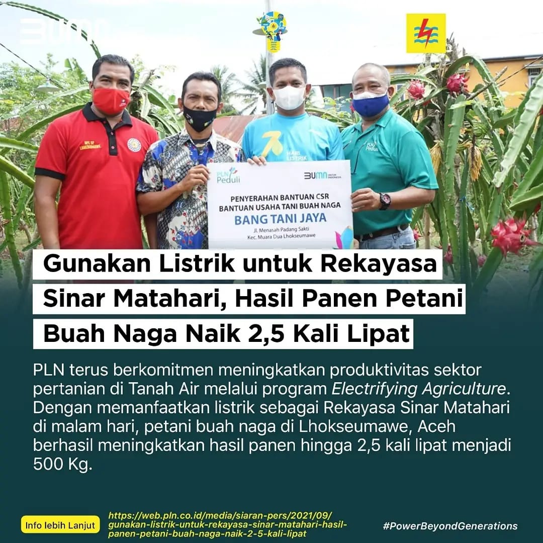 Gunakan Listrik Untuk Rekayasa Sinar Matahari, Hasil Panen Petani Buah Naga Naik 2,5 Kali Lipat 

Baca selengkapnya di  web.pln.co.id/media/siaran-p…

#PLN #PowerBeyondGenerations