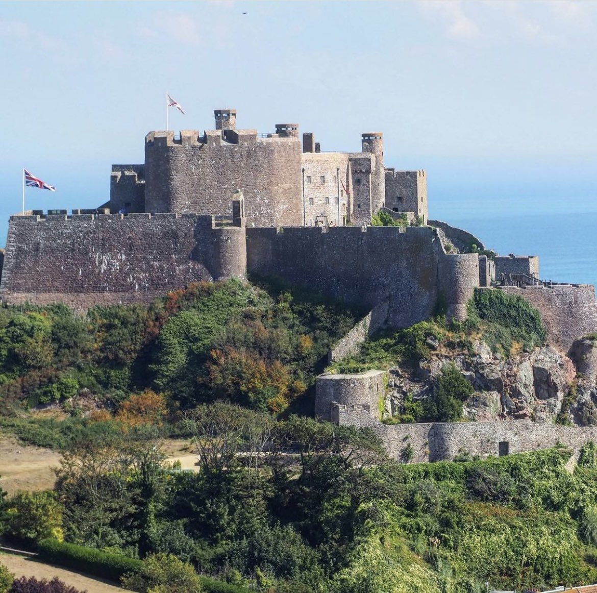 One of our tea fields overlooks the awesome Mont Orgueil Castle, a Jersey medieval heritage.

This tea field is one of the most difficult to control despite its privileged geographical position. It is exposed to winds which regularly stress the plant.