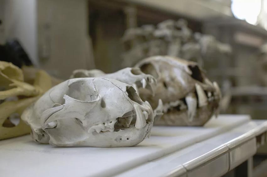 Axelle Gardin Axellegardin Twitter