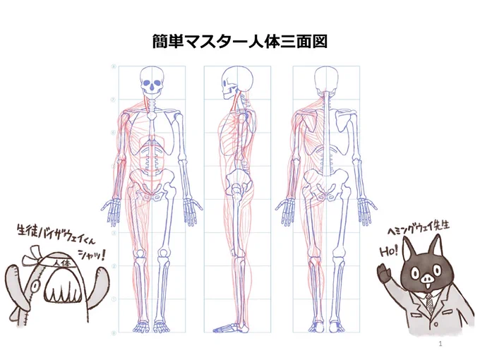 簡単マスター人体三面図(1/13)

絵を描くのは楽しいですが、上達するためにたくさん描くのは大変ですよね。 しかし、知識があれば早く上達できます。
骨格や筋肉の比率や仕組みを知りながら、楽しく描いてみましょう♪

PDF版のDLはこちら。
https://t.co/i3cTwrnoDS 