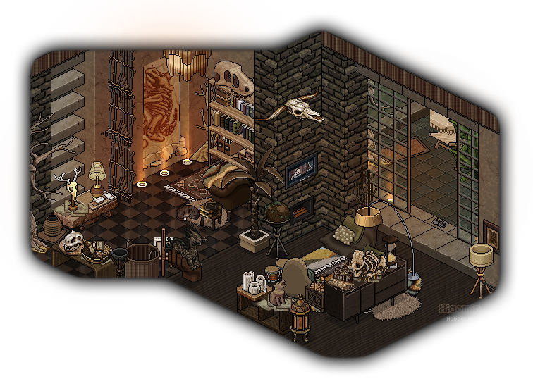 Xiaomin_hc's tweet photo. unreavealed 2/? . roots . on @habboxfrance https://t.co/knRvJ4Fdop