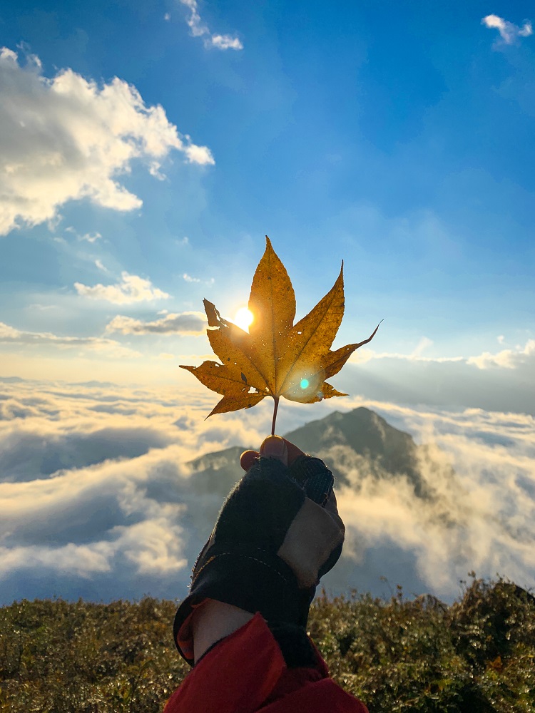 vietmountains's tweet photo. Northern Vietnam's Bach Moc Luong Tu offers trekkers the chance to bask in a dreamy landscape of clouds, fog and sunshine, as depicted in photos by lensman Hoang Tung.
https://t.co/DdsoC89hn3
#vietmountains #nature #hiking #trekking #adventure #naturephotography #mountainview https://t.co/Zg4EKt5Ju2