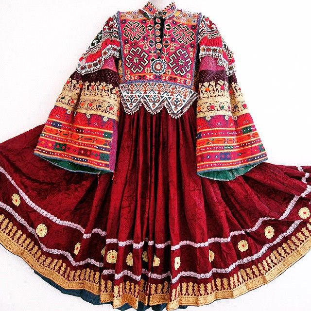 ahmadfsamin's tweet photo. 97% Afghans            Afghan diaspora https://t.co/UBBzTSJOBc