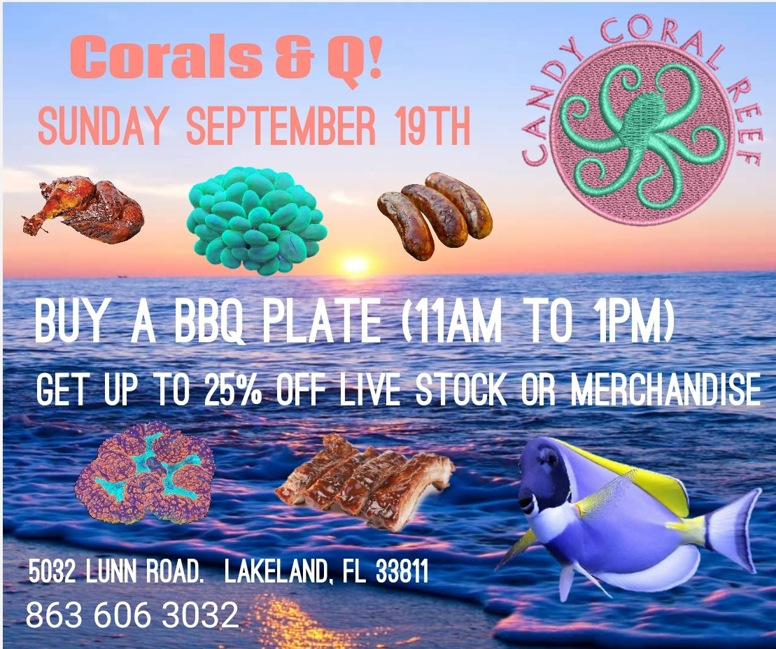 ReefLlc's tweet image. Corals &amp;amp; BBQ! Two of my most favorite things.