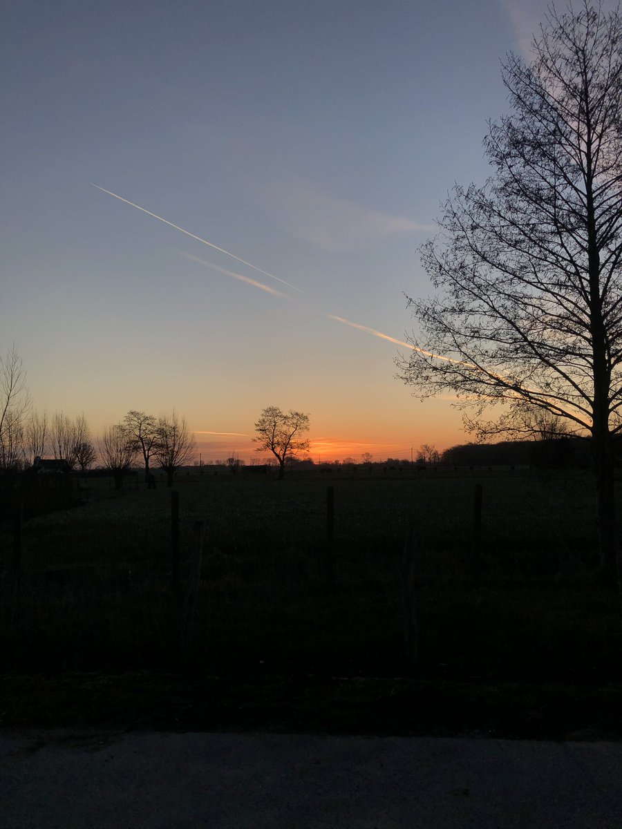 _padvinder's tweet photo. Ik ben elke dag een kwartier te vroeg op mijn werk gewoon voor dit uitzicht https://t.co/YOwz6vp1D9