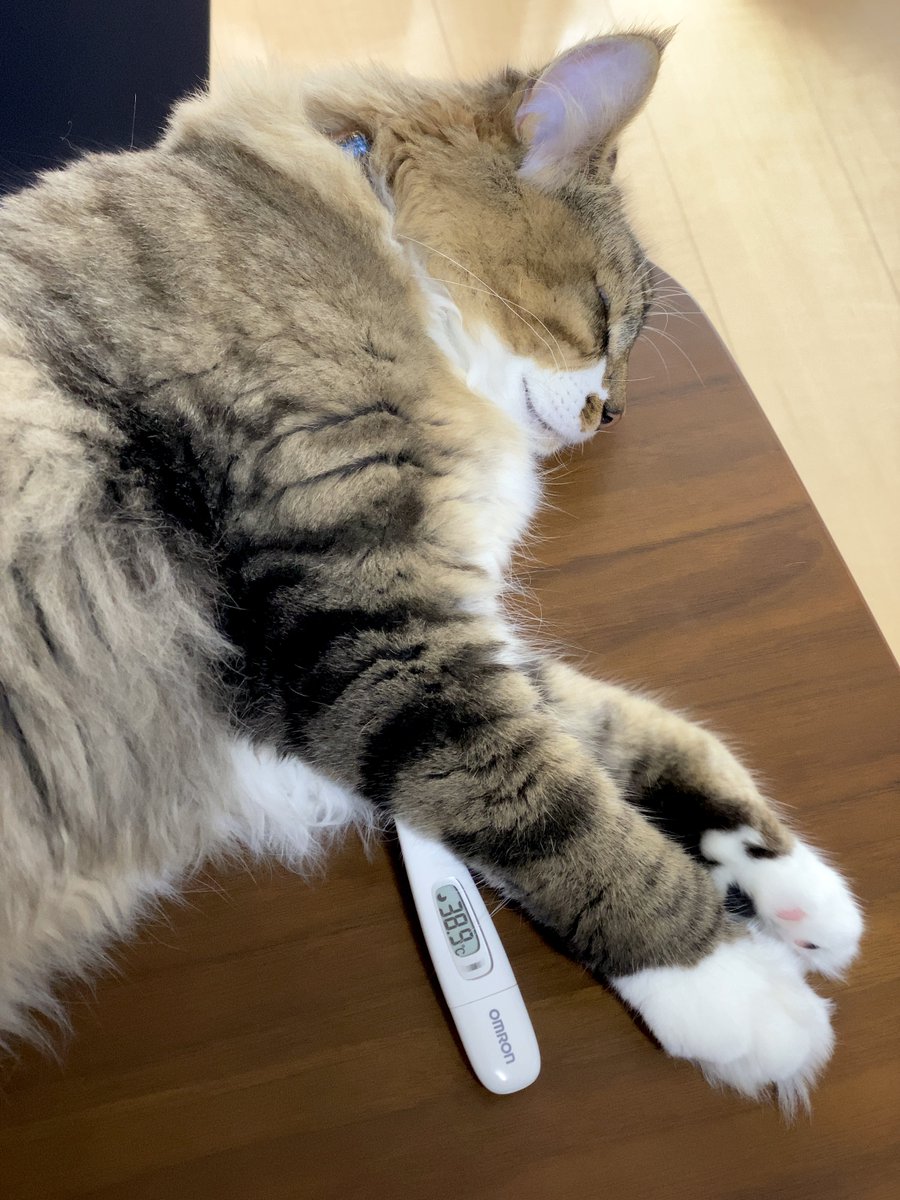 yuuri_chocolate's tweet photo. 副反応すごい。38.9℃です。 https://t.co/onwI1HmvU5