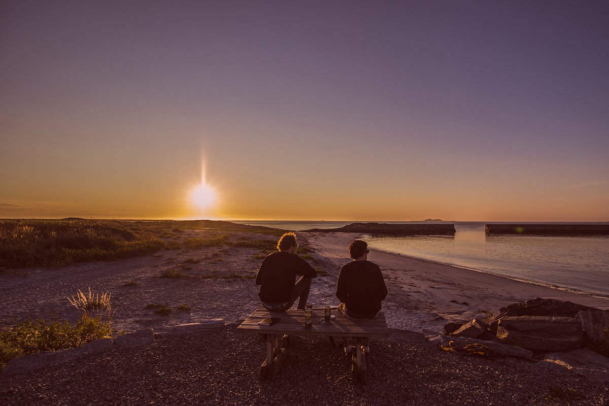 daniel pedersen tweet media