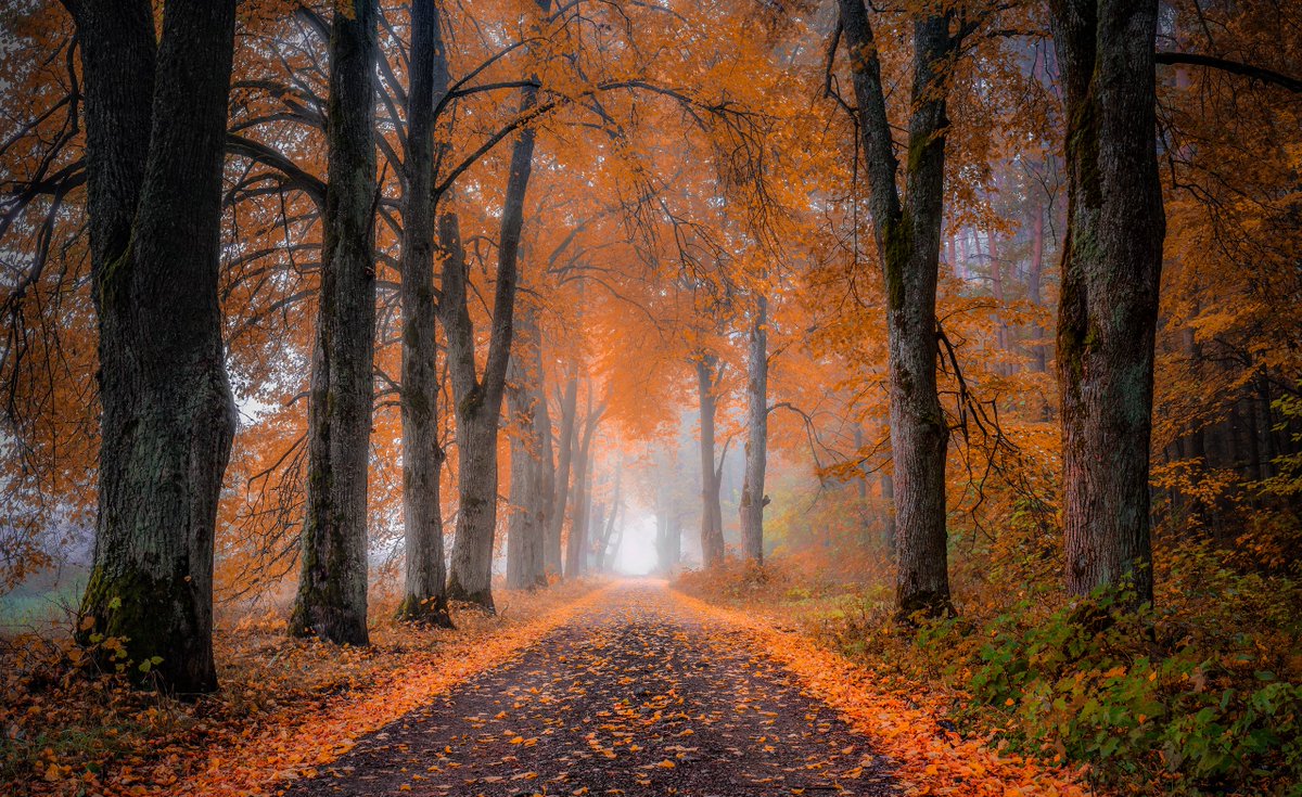 Photographer (@photo5065) on Twitter photo 