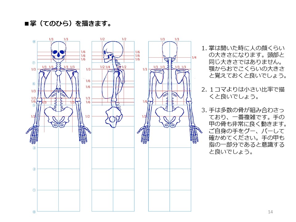 簡単マスター人体三面図(5/13)

前腕は2本の骨で構成されていますので捻ることが可能です。手首は股下に位置し、掌は顔(顎からおでこまで)と同じくらいの大きさです。大腿骨は脛より長いです。

PDF版のDLはこちら。
https://t.co/i3cTwrnoDS 