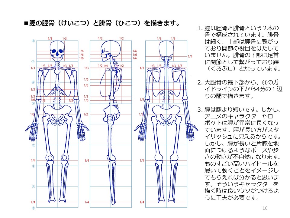 簡単マスター人体三面図(5/13)

前腕は2本の骨で構成されていますので捻ることが可能です。手首は股下に位置し、掌は顔(顎からおでこまで)と同じくらいの大きさです。大腿骨は脛より長いです。

PDF版のDLはこちら。
https://t.co/i3cTwrnoDS 