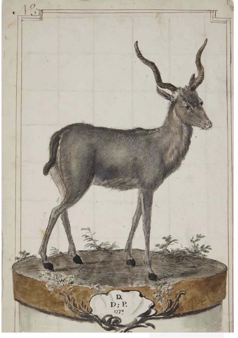 crispianrs's tweet photo. To subscribe to monthly Newsletter click here 
https://t.co/JUWmhwl6al
DUTCH SCHOOL
A Bushbuck standing on a Dias
Pencil, pen and brown ink and watercolour
306 x 215 mm. (12 x 8 in)
Signed in pen and black ink and dated. https://t.co/NIWPGKiYKs