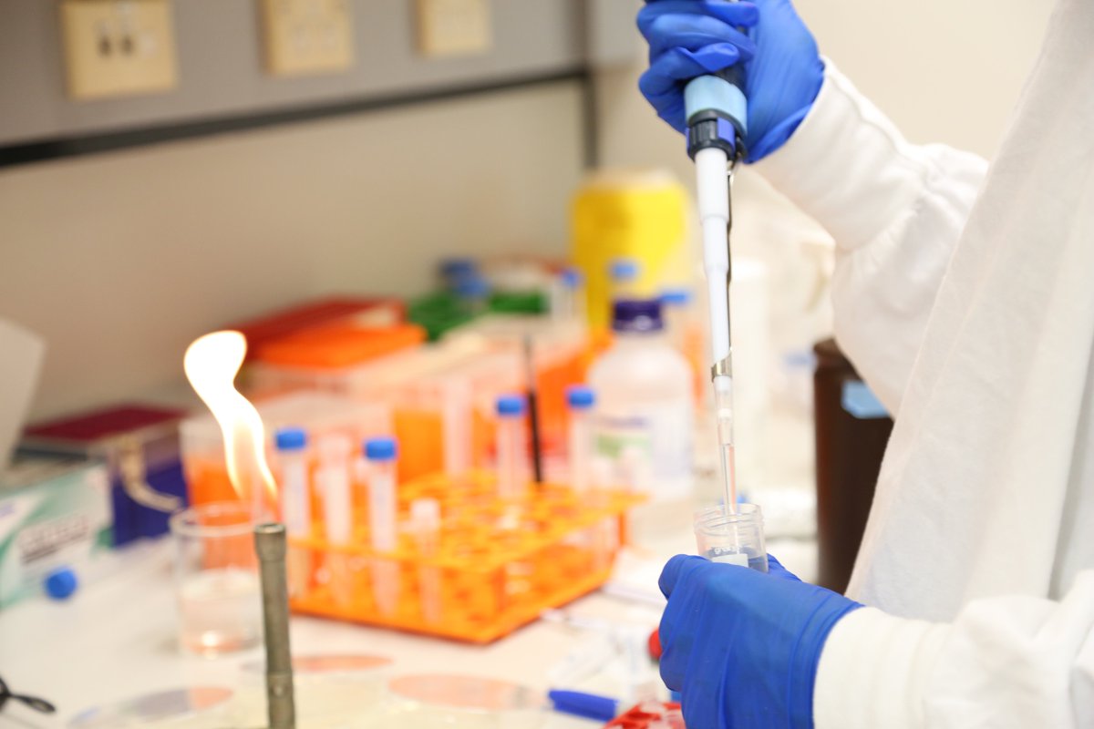 Researchers at <a href="/kids_research/">Kids Research</a> have today been awarded over $14.4 million in National Health and Medical Research Council (NHMRC) funding. Read more at kidsresearch.org.au/news/14m-nhmrc…