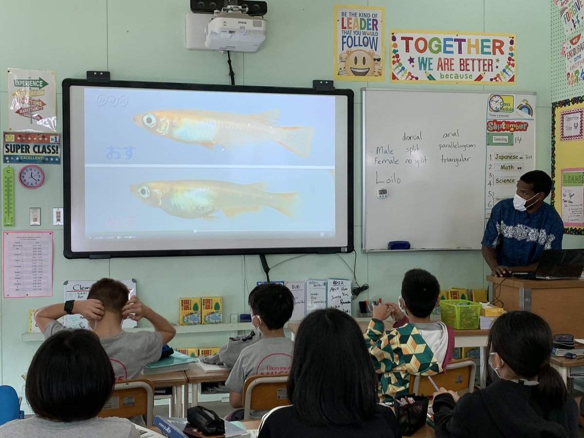 5年生　理科の授業
iPadを活用し、メダカの観察をしました！
#沖縄
#沖縄アミークス
#インターナショナル
#英語教育
#英語イマージョン教育
#ICT教育 
#iPad
#loilonote
