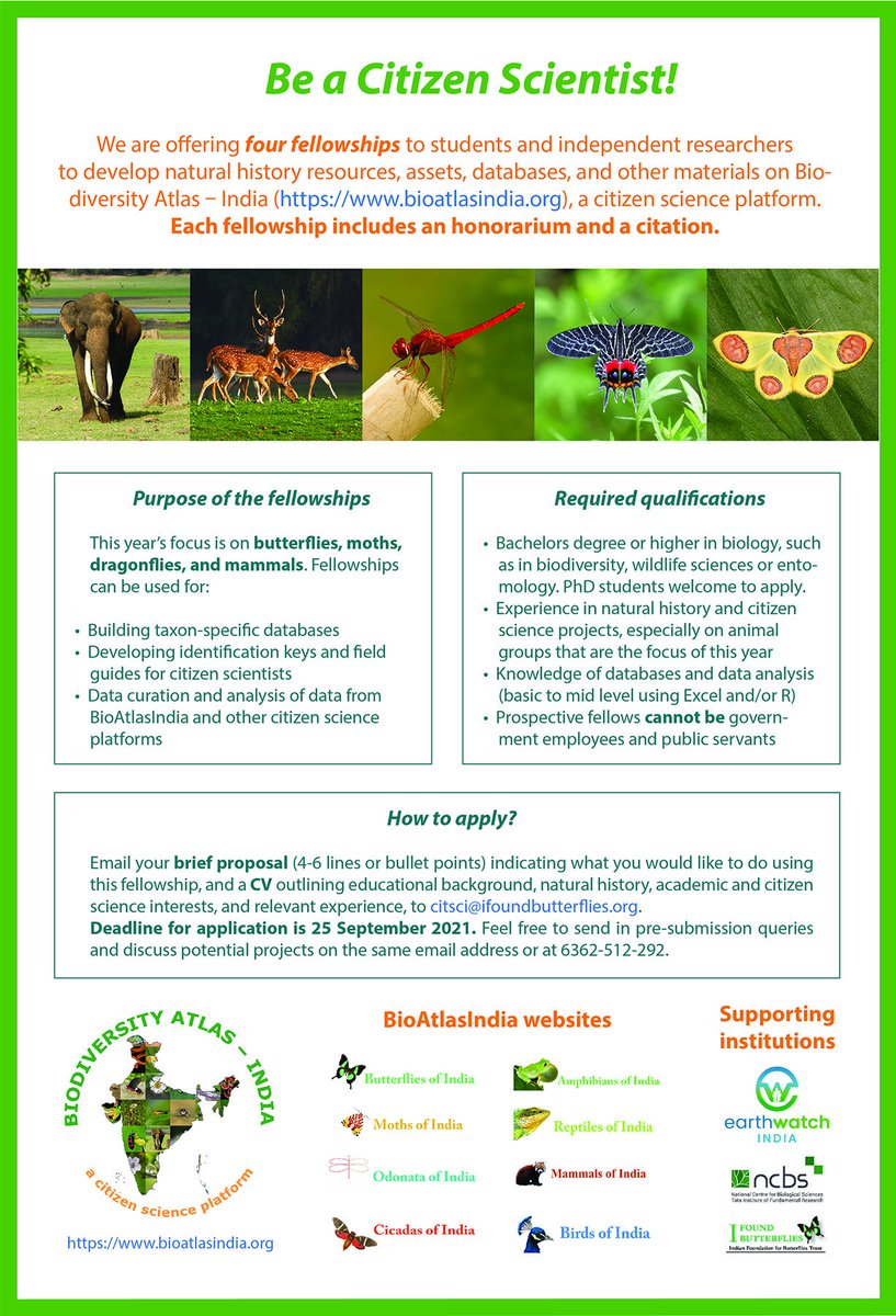 Become a biodiversity scientist, build and analyse scientific databases, and develop natural history resources and assets for the citizen scientist community. All under a generous fellowship and guidance of top experts! @IFoundButterfly @NCBS_Bangalore