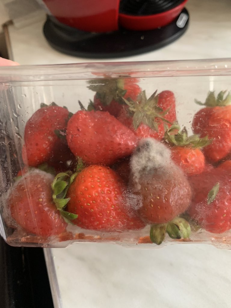 EmilyJaneHopper's tweet photo. @LidlGB help!!! I bought some strawberries yesterday evening in Barnstaple Lidl’s and I’ve just taken them out of the fridge and look!! What a shame… what am I gunna do for my breakfast?! https://t.co/EKWOxXY7eg