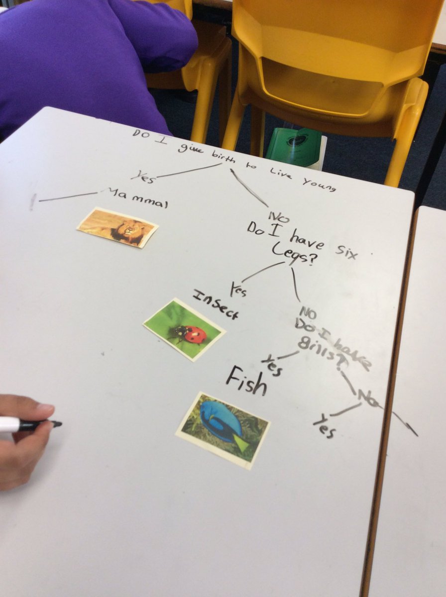 Year6Kingsley tweet media