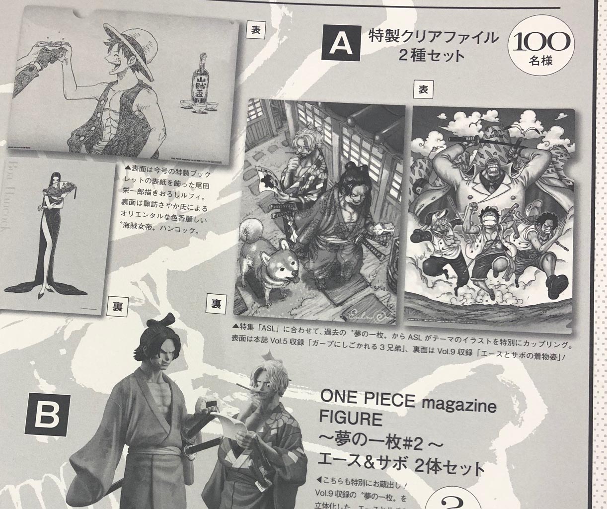 ①クリアファイル ONE PIECE 夢100