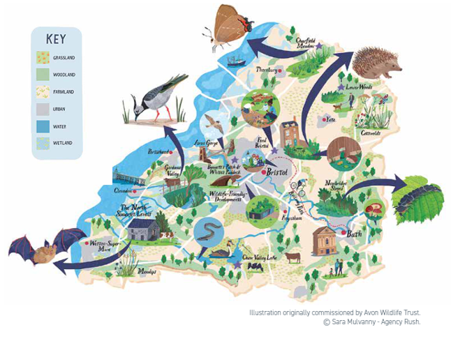 We <a href="/avonwt/">Avon Wildlife Trust</a> warmly welcome the <a href="/WestofEnglandCA/">West of England Mayoral Combined Authority</a> proposal to work with regional stakeholders and the Unitary Authorities to develop a revised #Climate and #Biodiversity Strategy and Action Plan. Check out the papers here: westofengland-ca.moderngov.co.uk/ieListDocument… &amp; watch live on Youtube next Tuesday
