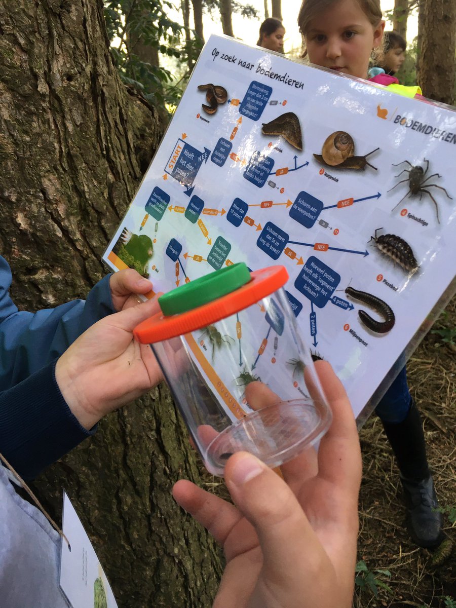 juf_danny's tweet photo. Een dagje in de natuur met natuurgids Monique Gerimont👌! #trapleerke #natuurwijs https://t.co/imiNMZ6fua