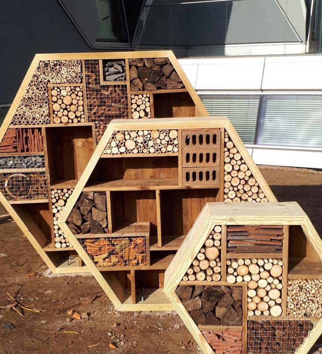 CovUniSust's tweet image. Over the next 10 days we will taking you on a sustainability tour around Coventry University. We&apos;re kicking off with our bug boxes! Made from recycled materials, they mimic natural habitats  for insects to shelter and nest. How many have you spotted? 🐜🐝🐞🦗🕷️💚