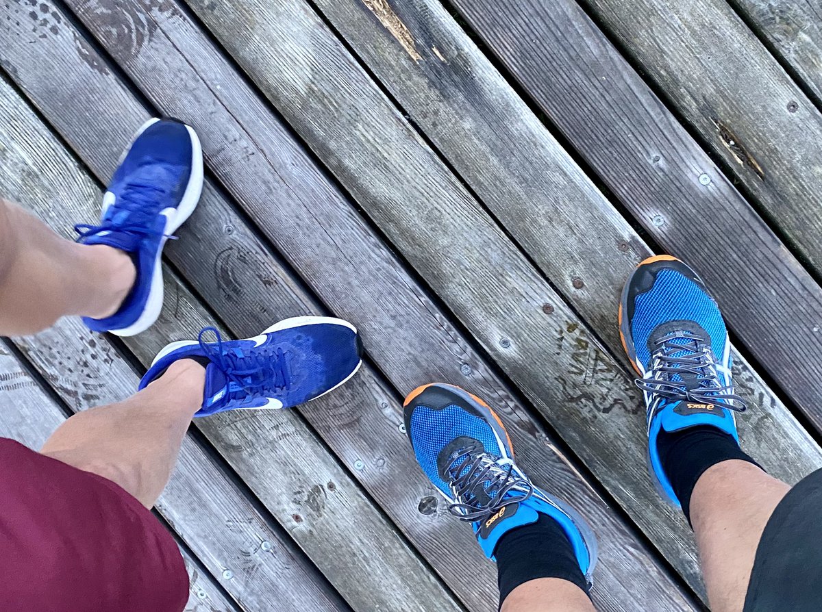 hoomygumb's tweet photo. Frühspocht… 🏃‍♂️ #dramboys https://t.co/SWisGvrs6k