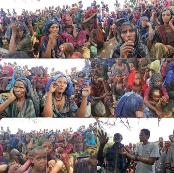 URGENT‼️ 

We are witnessing the dire situation of #IDPs in #Amhara! 

Immediate supply of food and basic necessities need to reach them to save their lives. 

#AidForAmharaIDPs 
#FoodforAmharaIDPs

<a href="/1james_elder/">James Elder</a> 
<a href="/UNICEFSupply/">UNICEF Supply</a> 
<a href="/UNCERF/">funds account</a>
<a href="/WFPChief/">Cindy McCain</a> 
<a href="/WFP_Media/">WFP Media</a>