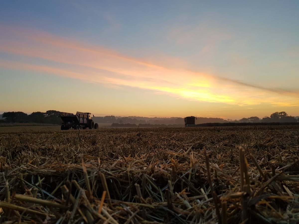 The never ending harvest of 2021! Last week our combine from Morley headed to North Norfolk. The team were cutting winter wheat as the sun set and the mist descended. #Harvest21 #Trials #Sunset