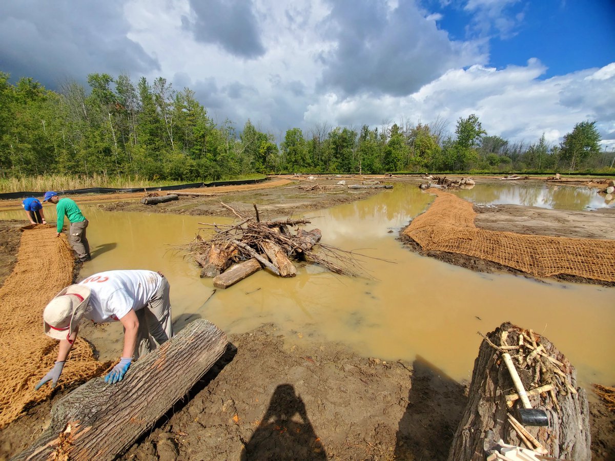Great day volunteering with <a href="/ConservHalton/">Conservation Halton</a> and <a href="/HamiltonHarbour/">Retired Account - Bay Area Restoration Council</a> working to restore this wetland.