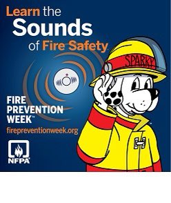 ACFDNL's tweet image. 