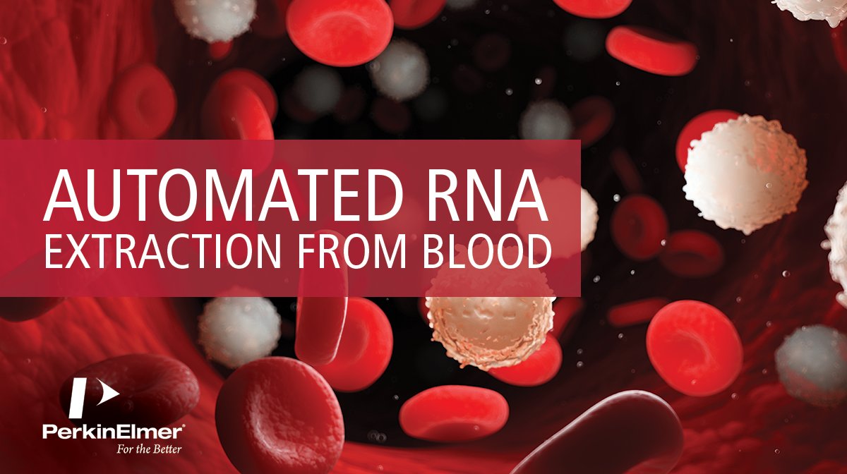 PKI_Events's tweet photo. Purify high-quality RNA from blood stored in Sarstedt´s blood collection tubes with our chemagic™ Total RNA 9k Kit H24 on our chemagic™ 360 instrument! Read more in our new Technical Note here. 
https://t.co/OWrRXDoklh
#chemagic #RNA #DNA #NucleicAcid #NucleicAcidPurification https://t.co/gEXGinhXGi