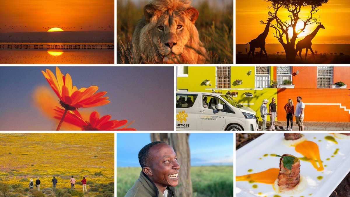 LuxuryRep's tweet image. With wide open spaces we believe it is time to go  #AmberForAfrica  #SouthAfricaIsTravelReady #ReadySteadyTravel